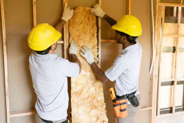 Best Blown-In Insulation  in Forest Lake, IL